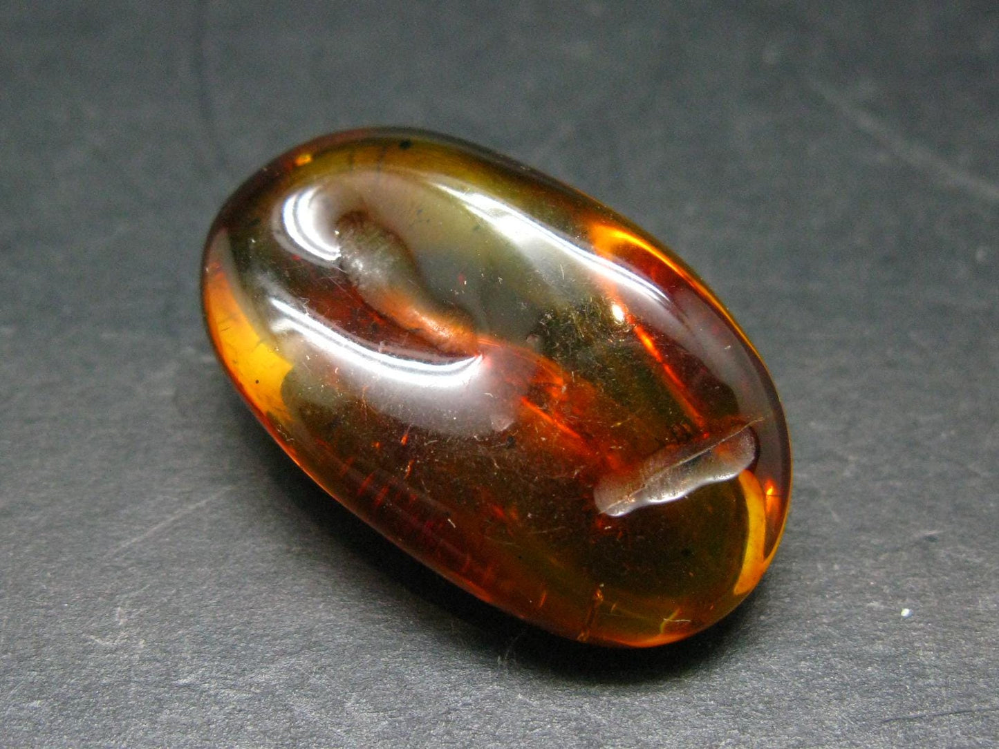 Insects in Amber Piece From Baltic Sea - 5.10 Grams - 1.4"