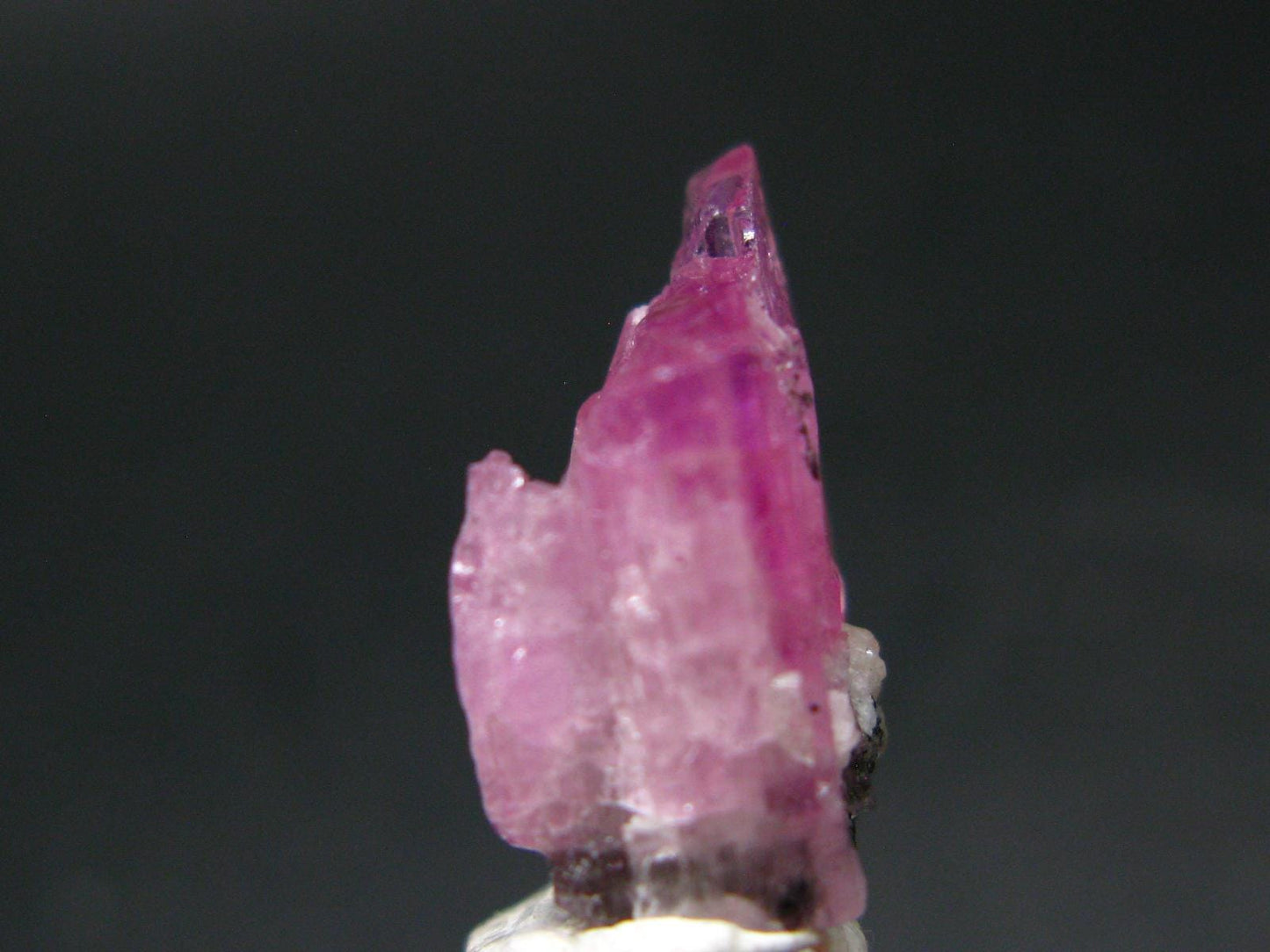 Tanzanite Gem Untreated Pink Crystal From Tanzania - 16.25 Carats - 0.8"