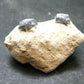 Large Blue Sapphire Corundum Cluster From Madagascar - 1.5"