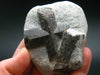 A Perfect Staurolite Crystal on Matrix from Russia - 2.5" - 109.34 Grams