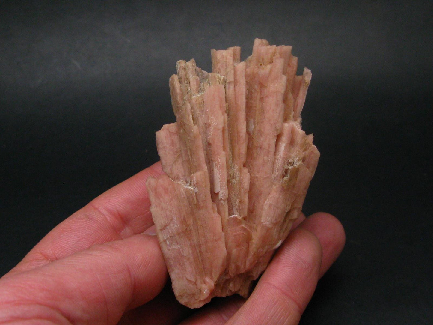 Serandite and Analcime Fine Crystal From Canada - 3.3"