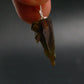 Zincite Zinkite Crystal 925 Silver Pendant From Poland - 1.0" - 2.44 Grams