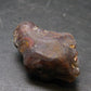 Fire Agate Crystal From Mexico - 1.2" - 8.93 Grams