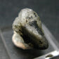 Gem Phenakite Phenacite Crystal From Russia - 6.64 Grams - 1.0"