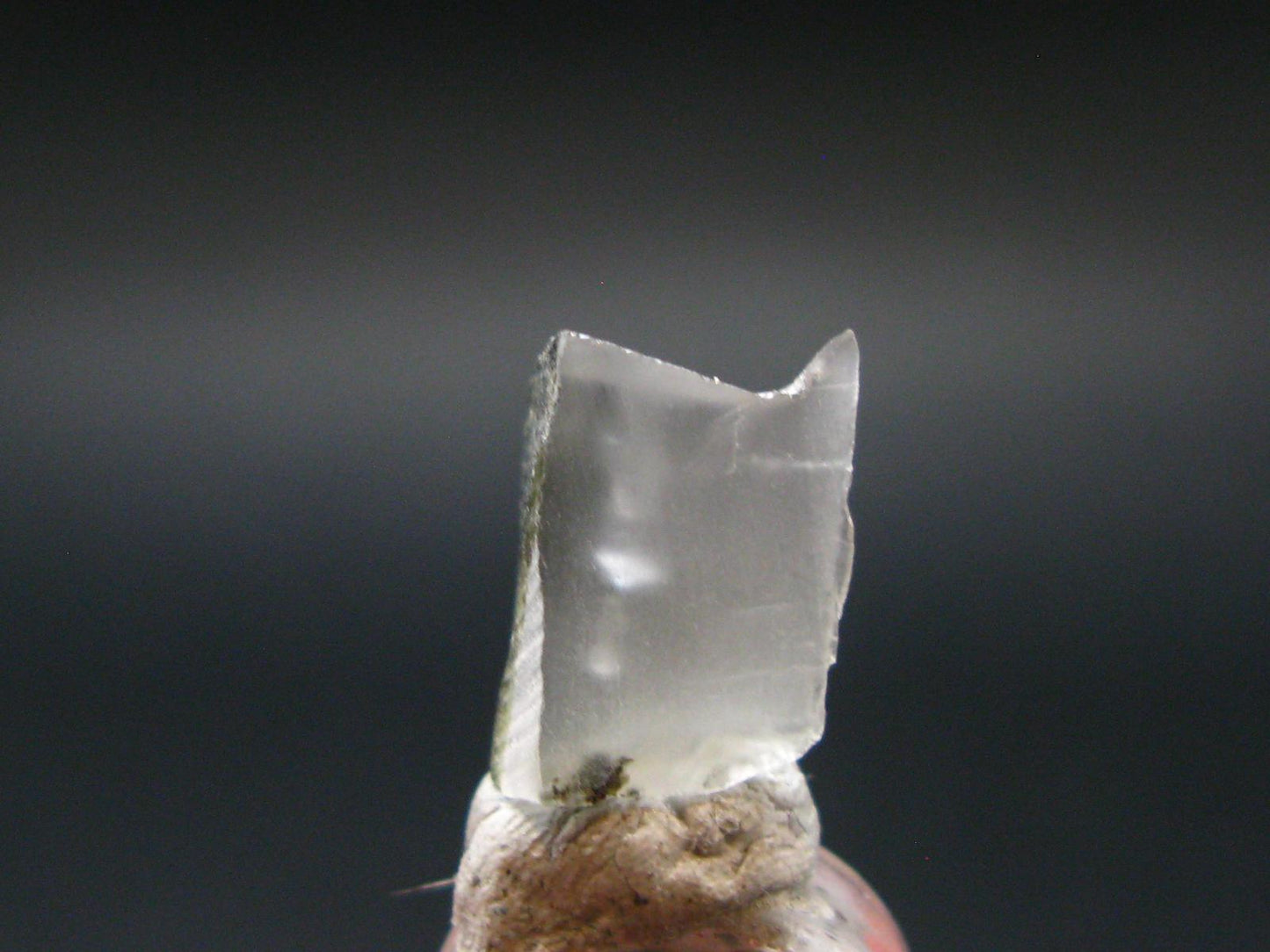 Phenakite Phenacite Crystal From Brazil - 1.13 Grams - 0.5"