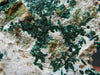 Nice Atacamite Cluster from Chile - 2.8" - 87 Grams