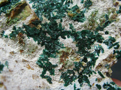 Nice Atacamite Cluster from Chile - 2.8" - 87 Grams