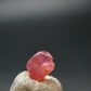 Rare Pezzottaite Crystal from Madagascar - 1.65 Carats - 0.3"