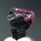 Ruby Crystal on Matrix from Winza Tanzania - 0.5" - 0.97 Grams
