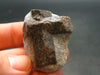 A Perfect Staurolite Crystal on Matrix from Russia - 1.4"