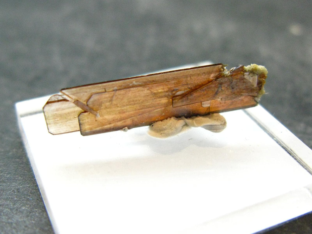 Large Brookite Crystal From Pakistan - 0.27 Grams - 23 mm