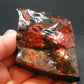 Ammolite Ammollite Fossil From Alberta Canada - 2.6" - 92.83 Grams
