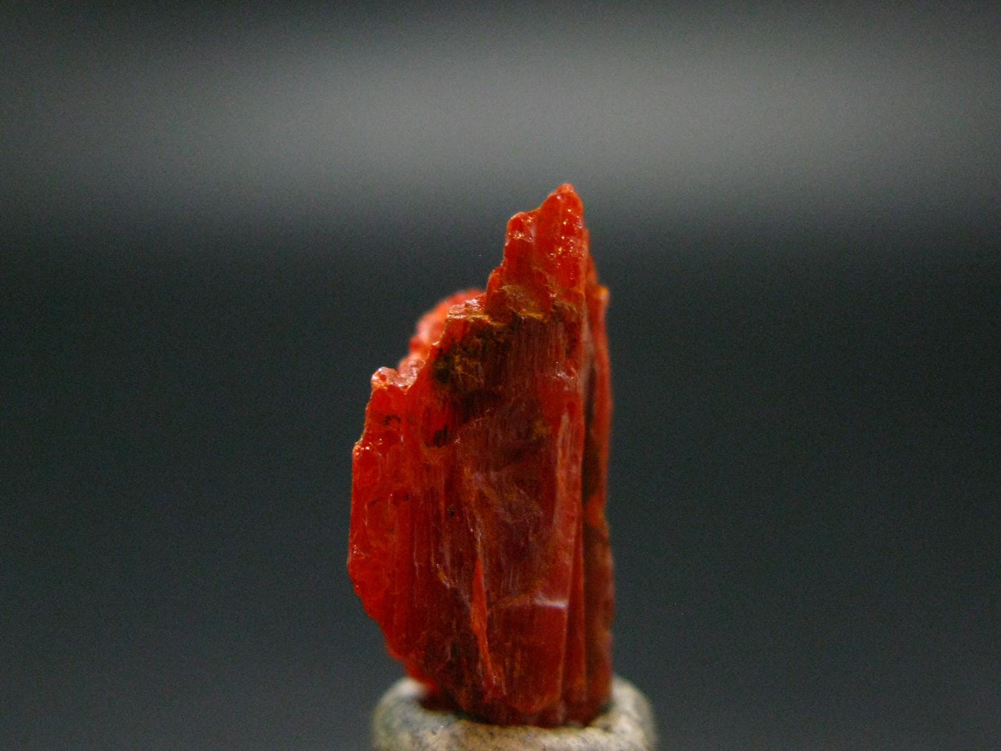 Large Orange Crocoite Crystal From Australia - 0.9" - 14.55 Carats