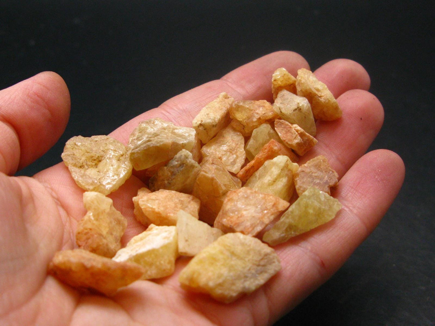 Lot of 25 Agni Gold Raw Danburite Crystals From Tanzania