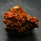 Rare Orange Crocoite Cluster From Australia - 1.3"- 30.40 Grams