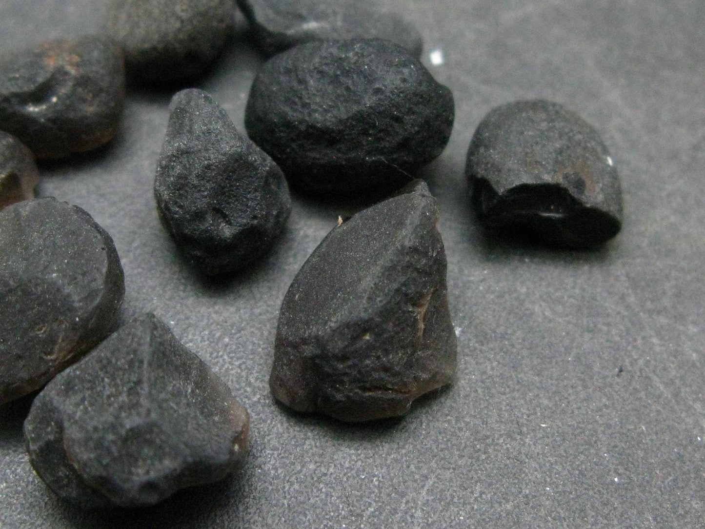 Lot of 10 Rare Saffordite Cintamani Stone Pseudotektites from Arizona USA - 50 Carats - 10 grams
