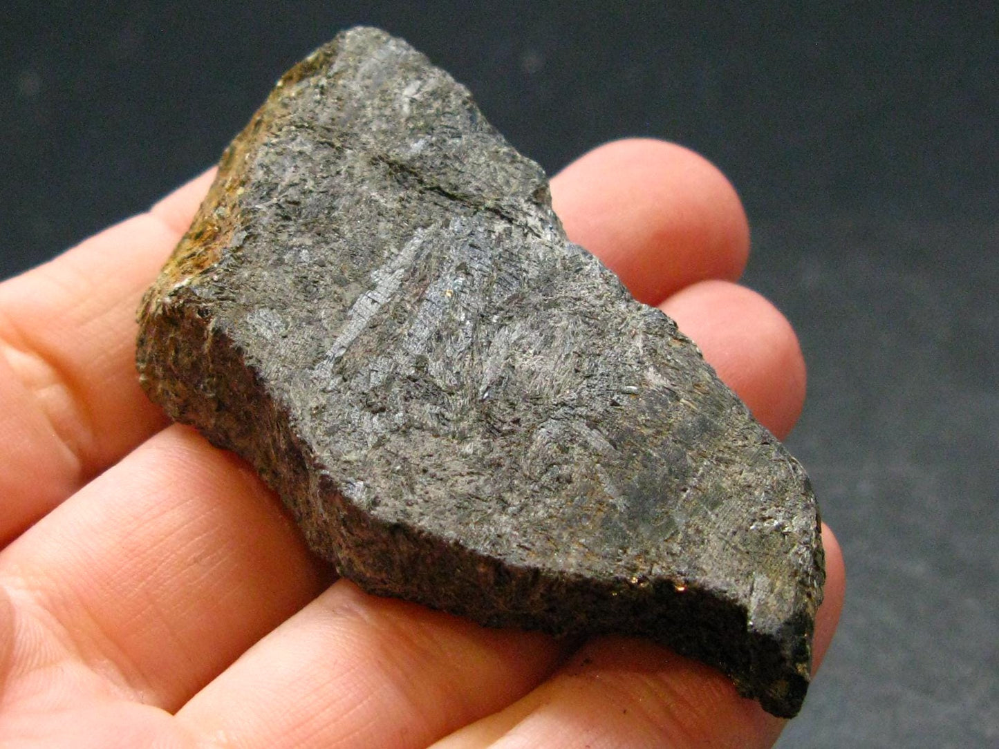 Rare Nuumite Nuummite Slab From Greenland - 35.92 Grams - 2.3"