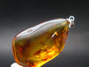 Natural Insects in Baltic Amber 925 Silver Pendant from Poland - 1.8" - 5.43 Grams
