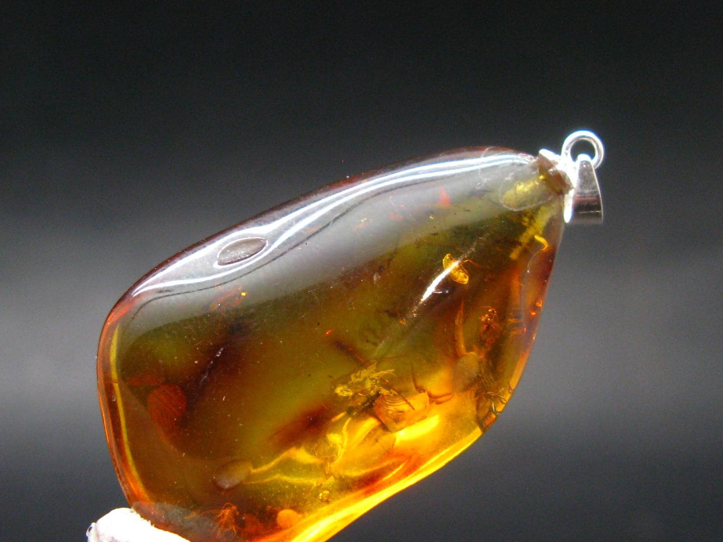 Natural Insects in Baltic Amber 925 Silver Pendant from Poland - 1.8" - 5.43 Grams