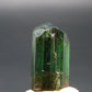 Rare Watermelon Tourmaline Crystal From Brazil - 0.5"