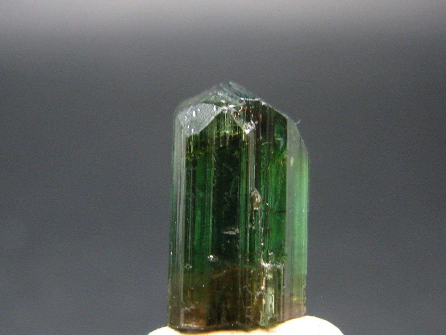 Rare Watermelon Tourmaline Crystal From Brazil - 0.5"