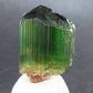 Rare Watermelon Tourmaline Crystal From Brazil - 1.0" - 49.55 Carats