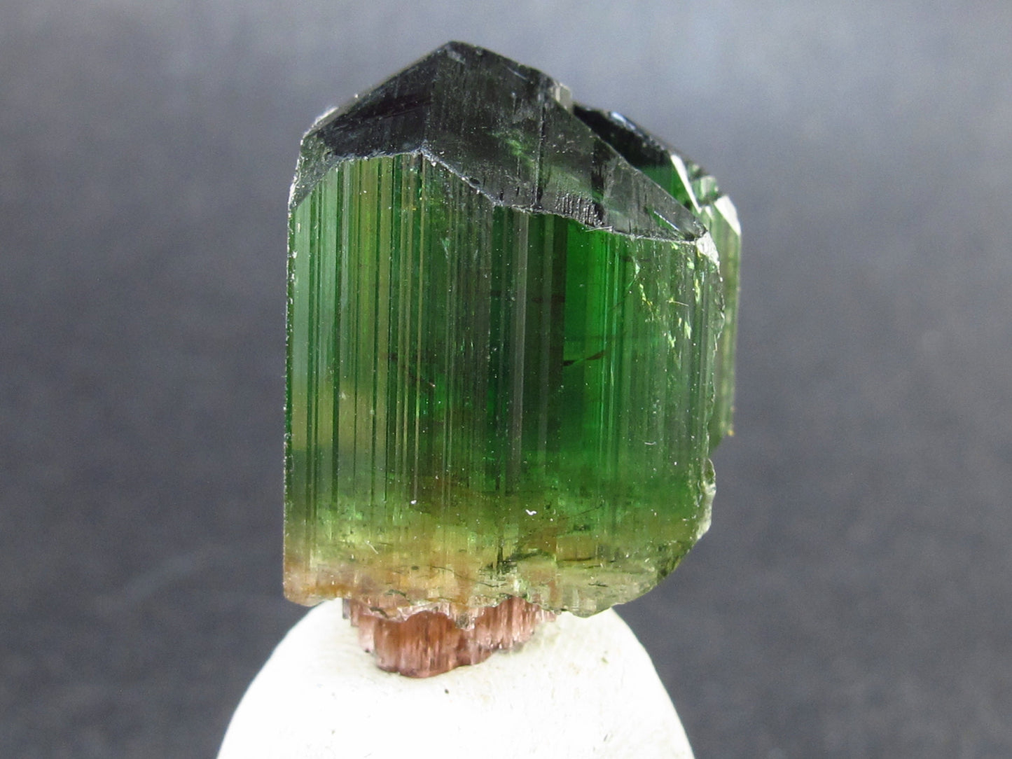 Rare Watermelon Tourmaline Crystal From Brazil - 1.0" - 49.55 Carats