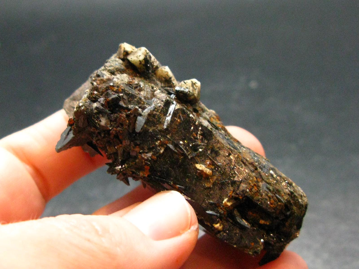 Aegirine Crystal From Malawi - 2.3" - 60.58 Grams