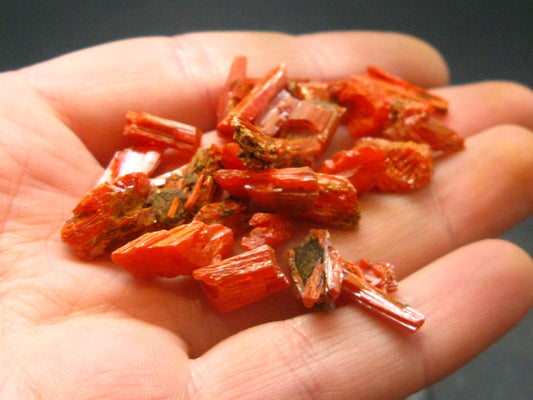 Lot of 25 Orange Crocoite Crystals From Australia