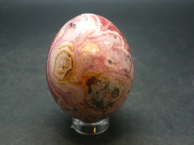 Rhodochrosite Egg from Argentina - 1.7" - 99.01 Grams