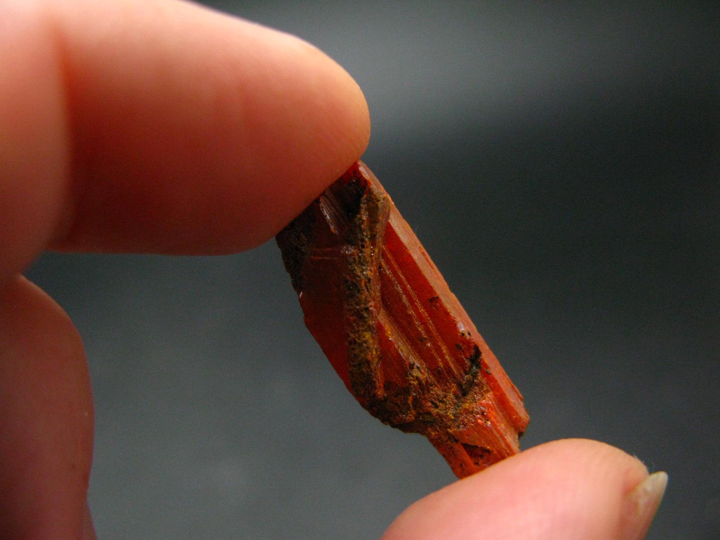 Large Orange Crocoite Crystal From Australia - 0.9" - 19.70 Carats