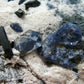 Benitoite and Neptunite on Natrolite Cluster From California - 1.5" - 10.35 Grams
