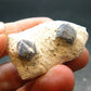 Large Blue Sapphire Corundum Cluster From Madagascar - 1.5"