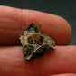 Large Sericho Meteorite Pallasite Olivine Slice From Kenya - 0.5" - 1.13 Grams