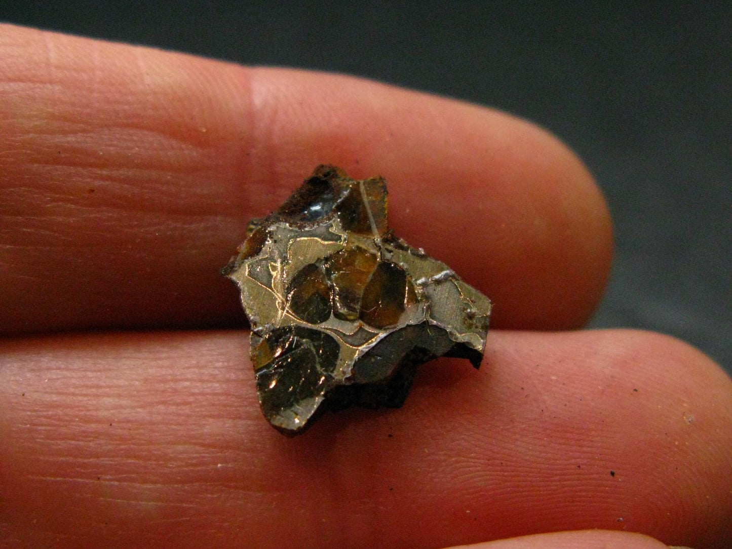 Large Sericho Meteorite Pallasite Olivine Slice From Kenya - 0.5" - 1.13 Grams