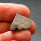 Large Gibeon Meteorite From Namibia - 0.5" - 4.94 Grams