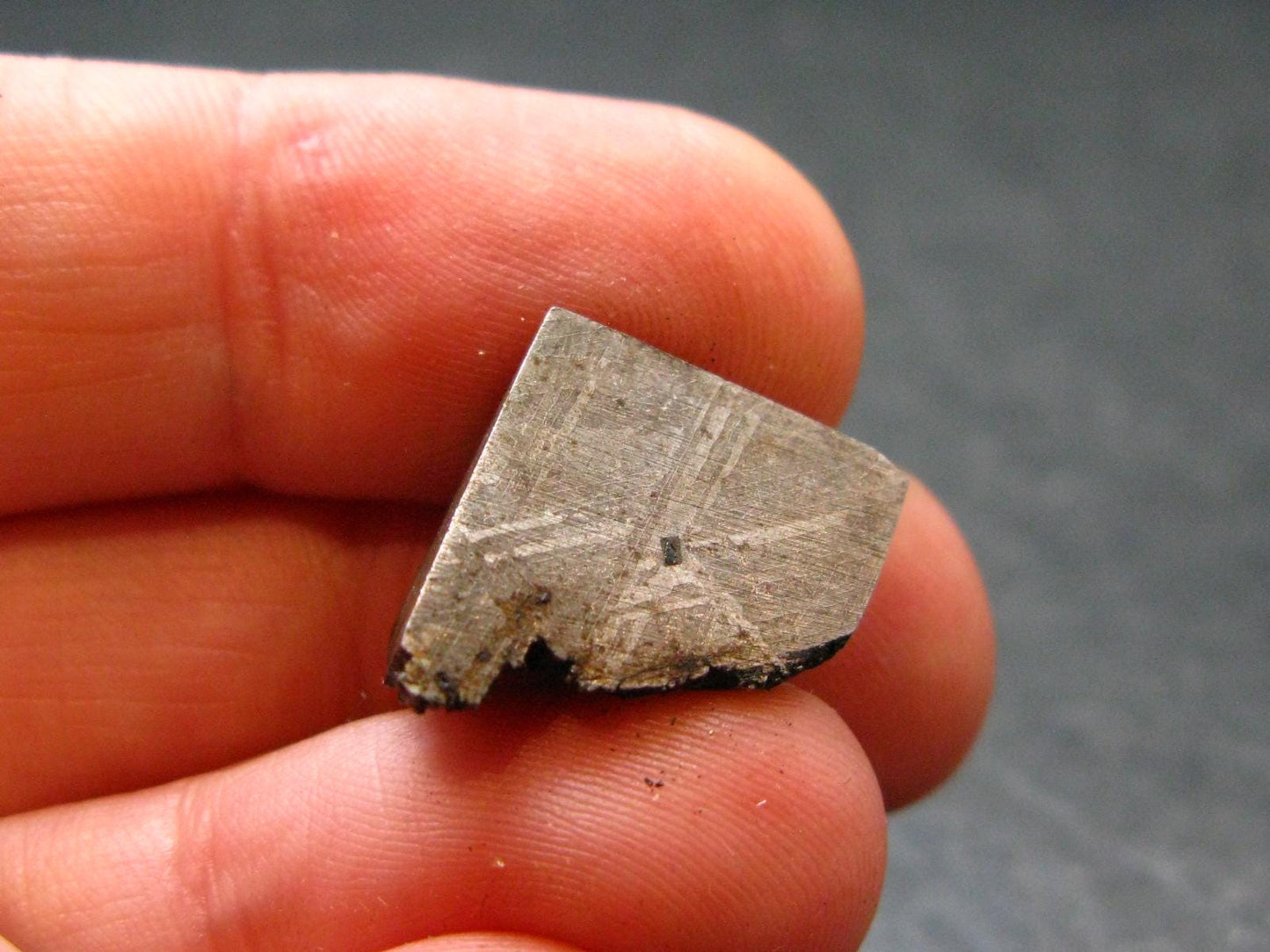 Large Gibeon Meteorite From Namibia - 0.5" - 4.94 Grams