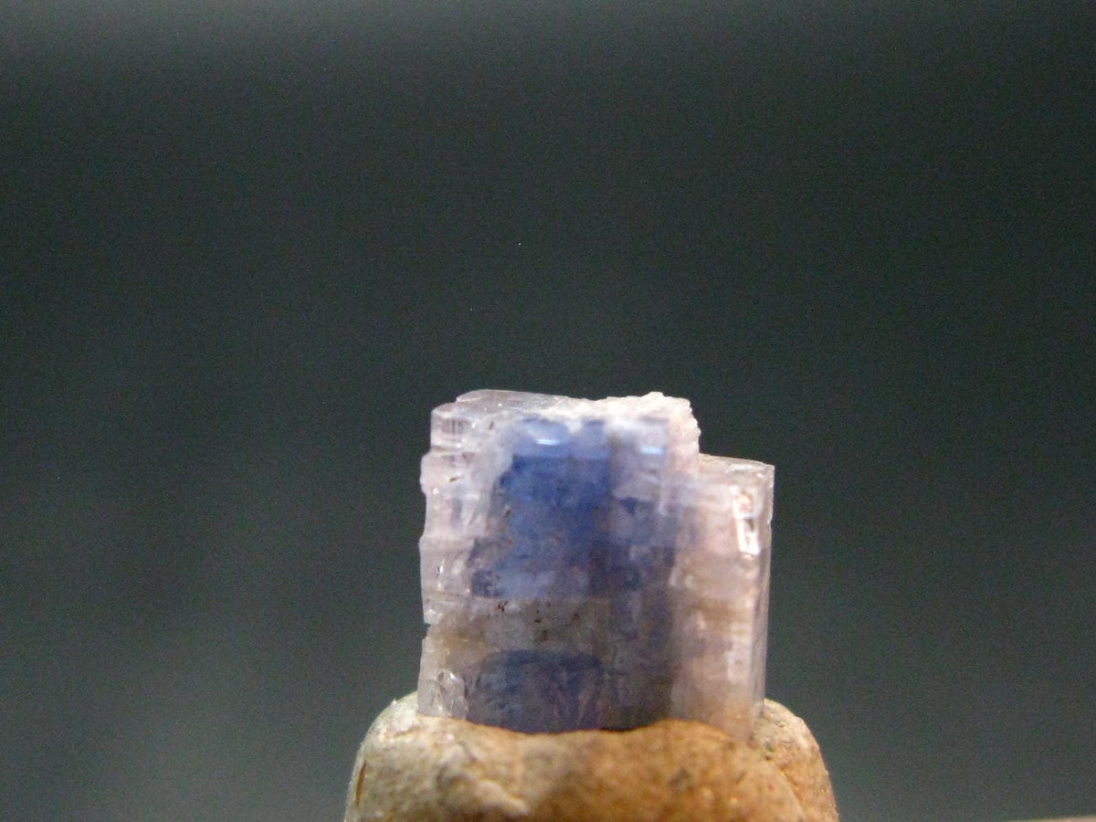Fine Rare Carletonite Crystal From Mt. St. Hilaire Canada - 0.3" - 0.25 Grams