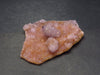 Fine Cactus Amethyst Spirit Quartz Crystal From South Africa - 3.2" - 48.2 Grams