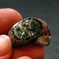 Nice Polished Seraphinite Clinochlore Stalactite From Russia - 0.9" - 4.35 Grams