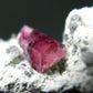 Rare Gem Bixbite Red Emerald Beryl Cluster From Utah USA - 1.3" - 7.49 Grams