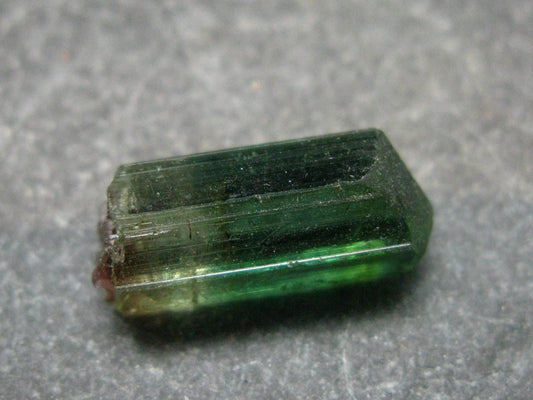 Rare Watermelon Tourmaline Crystal From Brazil - 0.6" - 8.50 Carats
