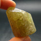 Large Gold Apatite Crysatl from Mexico - 50.85 Grams - 1.6"