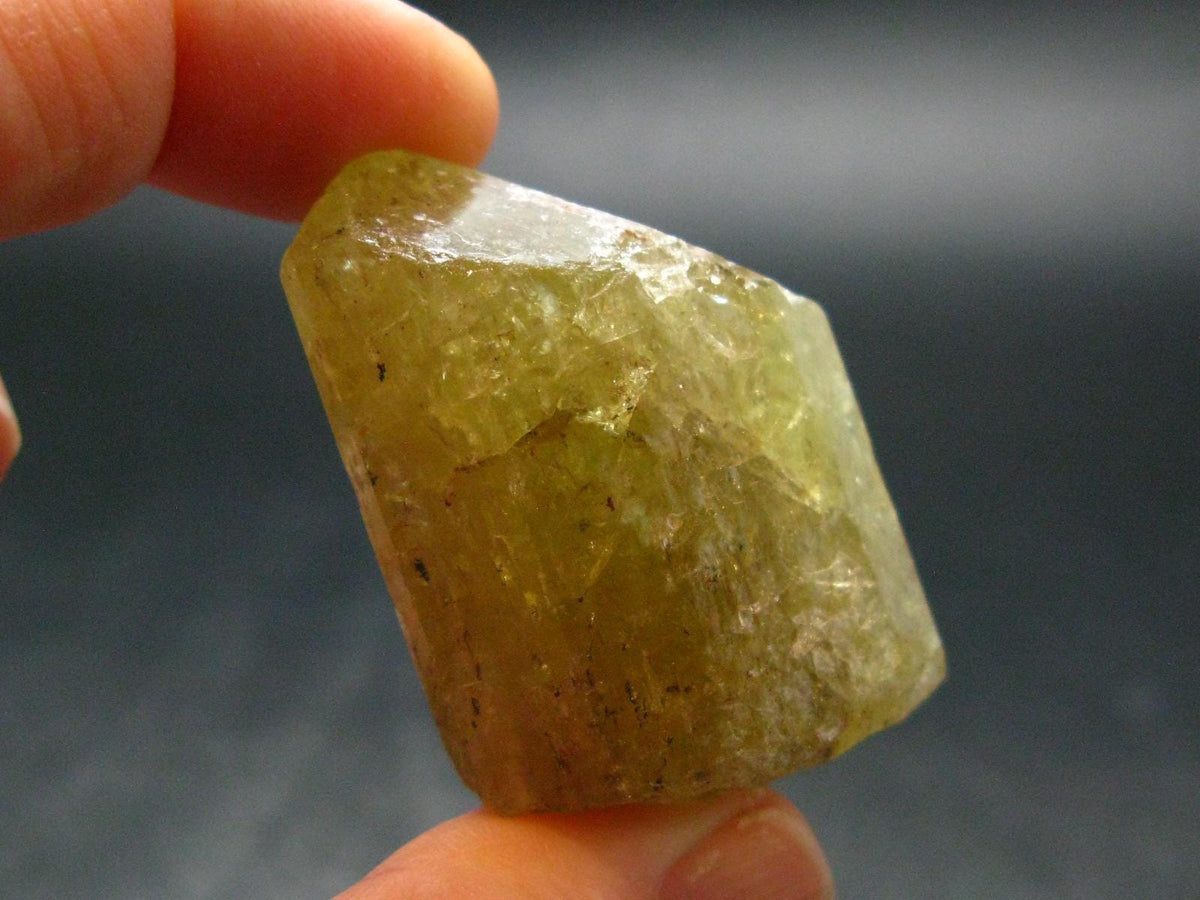 Large Gold Apatite Crysatl from Mexico - 50.85 Grams - 1.6"