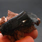 Vivianite Crystal From Bolivia - 1.6" - 12.6 Grams