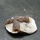 A Perfect Staurolite Crystal from Russia - 1.0" - 4.57 Grams