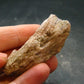 Cacoxenite Amethyst Crystal From Brazil - 2.1"