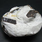 A Perfect Staurolite Crystal on Matrix from Russia - 3.6" - 431 Grams