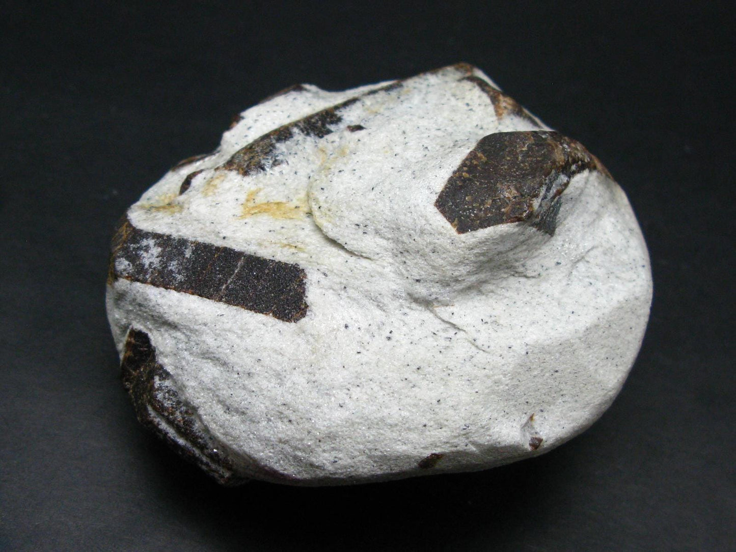 A Perfect Staurolite Crystal on Matrix from Russia - 3.6" - 431 Grams