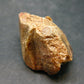 Rare Huge Monazite Crystal From Brazil - 1.3" - 23.85 Grams